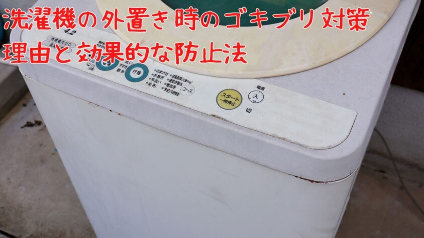 洗濯機の外置き時のゴキブリ対策：理由と効果的な防止法